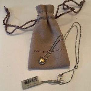 David Yurman Châtelaine Necklace with Gold Dome